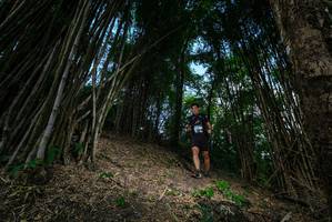 BIB: 
                            <button type="button" onclick="openModal(19395468)" class="btn btn-primary btn-sm float-right btn-popup" data-toggle="modal" data-target=".modal-high-quality">
                        <i class="fas fa-shopping-cart"></i> Add to Cart
                    </button>
                                            <button type="button" onclick="isThisMe(19395468, true)" class="btn btn-success btn-sm float-right btn-popup btn-isme hidden" data-toggle="tooltip" data-placement="bottom" title="นี่คือรูปของคุณใช่ไหม คลิกที่นี่เพื่อเอาเข้าอัลบั้ม">
                        <i class="fas fa-plus"></i> Add to album
                    </button>
                    <button type="button" onclick="isThisMe(19395468, false)" class="btn btn-warning btn-sm float-right btn-popup btn-isnotme hidden">
                        <i class="fas fa-ban"></i> Remove from album
                    </button>